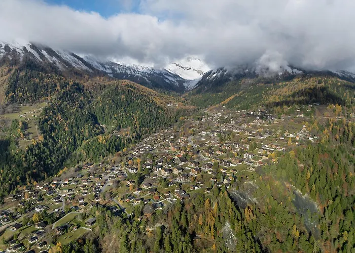 Appartement Plein Sud 3 By Interhome *