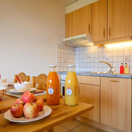 Plein Sud 3 By Interhome Apartment Ovronnaz