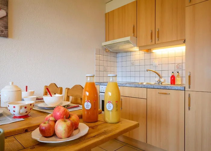 Plein Sud 3 By Interhome Apartment Ovronnaz